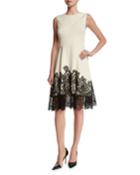 Fit-&-flare Lace-hem Dress, Ivory/black