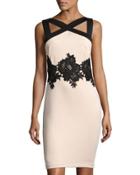 Lace-waist Cocktail Sheath Dress, Pink/black