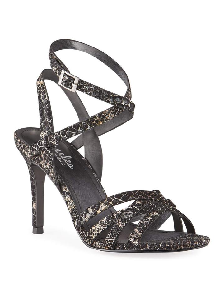 Hippy Snake-embossed Cocktail