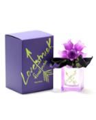Lovestruck Floral Rush For Ladies Eau De Parfum Spray, 3.4 Oz./