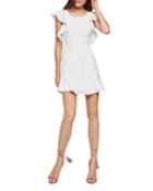 Ruffle Mini Fit-&-flare Dress