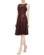 Lace Sleeveless Fit-&-flare Dress