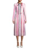 Long-sleeve Belted Striped A-line Dress