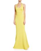 Naples Halter Trumpet Gown