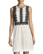 Colorblock Engineered-lace Dress