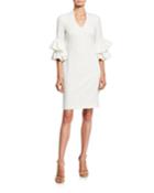 Audra V-neck Ruffle-sleeve