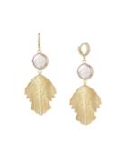 Stone Feather-dangle Earrings