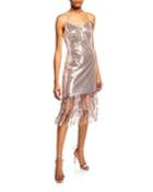 Sequin Fringe Dress