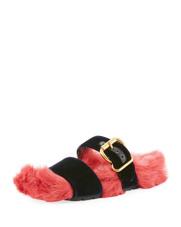 Fur Velvet