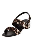 Rach Calf Hair City Sandal,