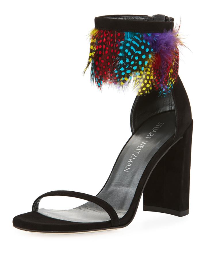 Plumage Multicolor Feather