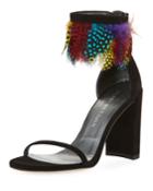 Plumage Multicolor Feather