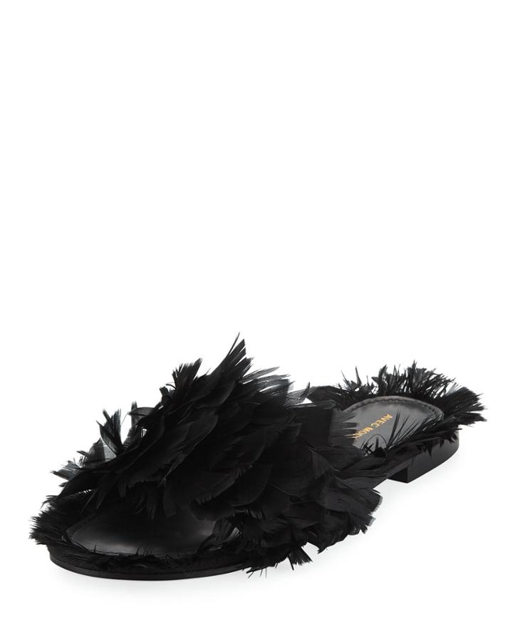 Bora Bora Feather