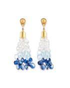 Ombre Stone Briolette Dangle Earrings