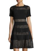 Short-sleeve Mesh-inset Fit-and-flare Dress, Black