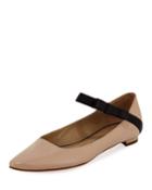 Immaculada Leather
