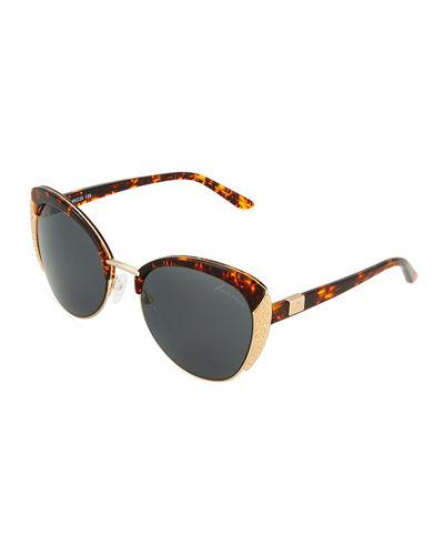 Cat-eye Tortoise