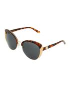 Cat-eye Tortoise
