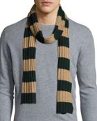 Striped Ribbed-knit Scarf, Forest/asinello