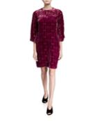 Burnout Velvet Shift Dress With Illusion Neckline
