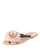 Harmonic Flower Flat