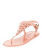 Tea Rose Jelly Flat
