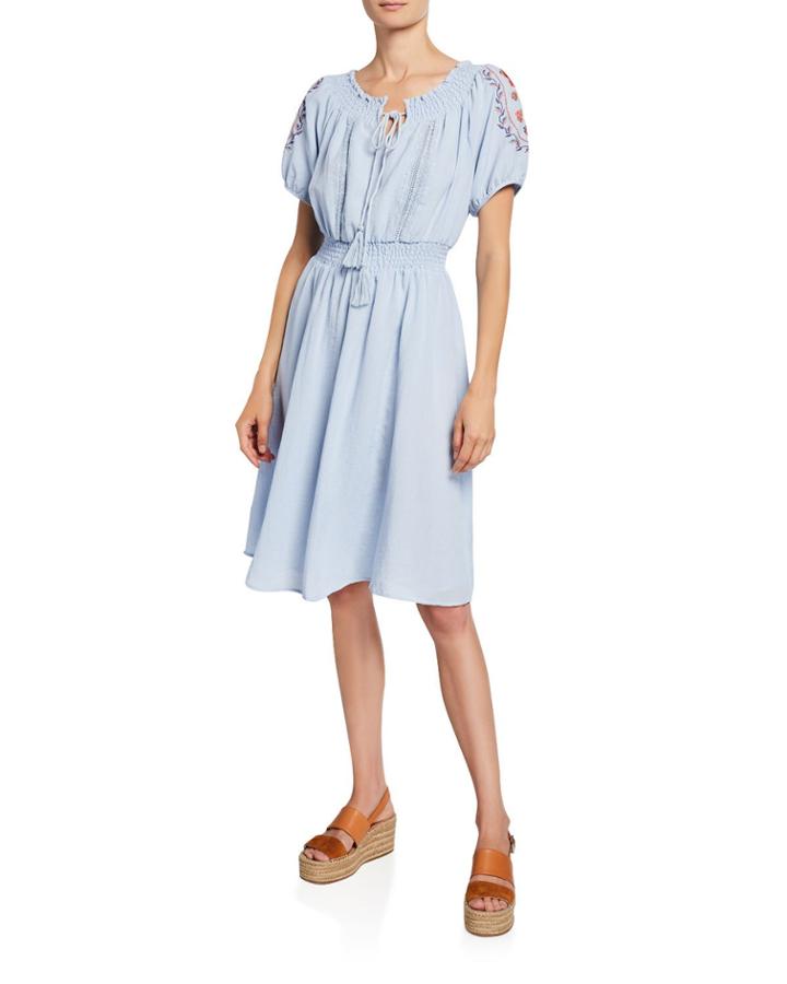Embroidered Smocked Fit-and-flare Dress