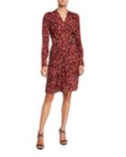 Jenesse Printed V-neck Long-sleeve Dress