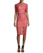 Remi Short-sleeve Lace Sheath Dress, Pink