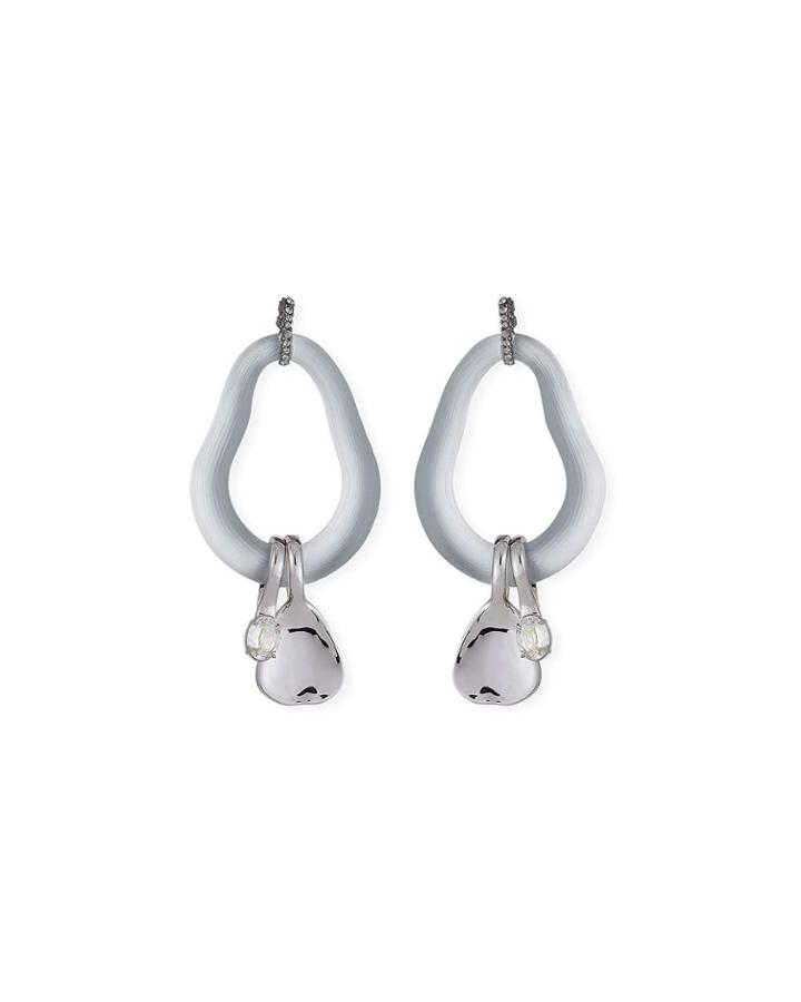 Organic Link Earrings W/ Crystal Drops,