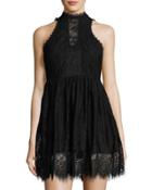 Nancy Fit & Flare Lace Dress, Black