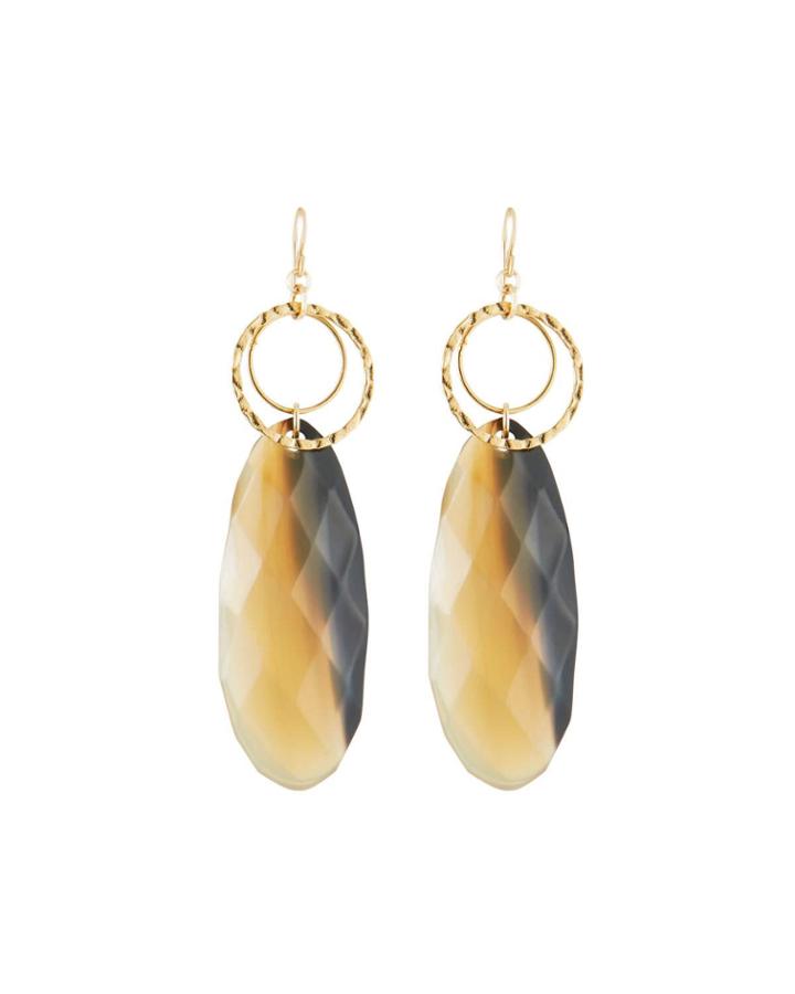 Earth-tone Horn Drop Earrings