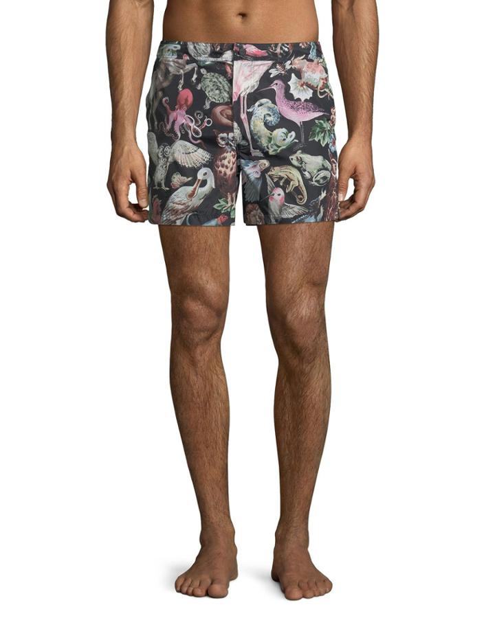 Men's Animal-print
