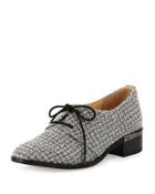 Emale Tweed Lace-up Flats, Gray