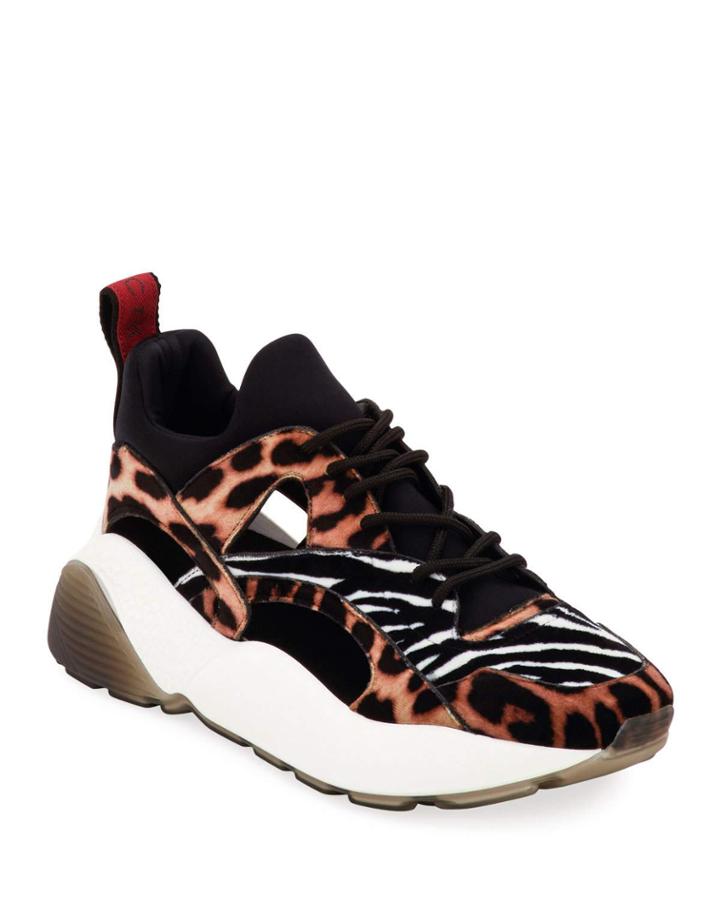 Eclypse Leopard And Zebra