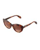 Tortoiseshell Acetate Cat-eye