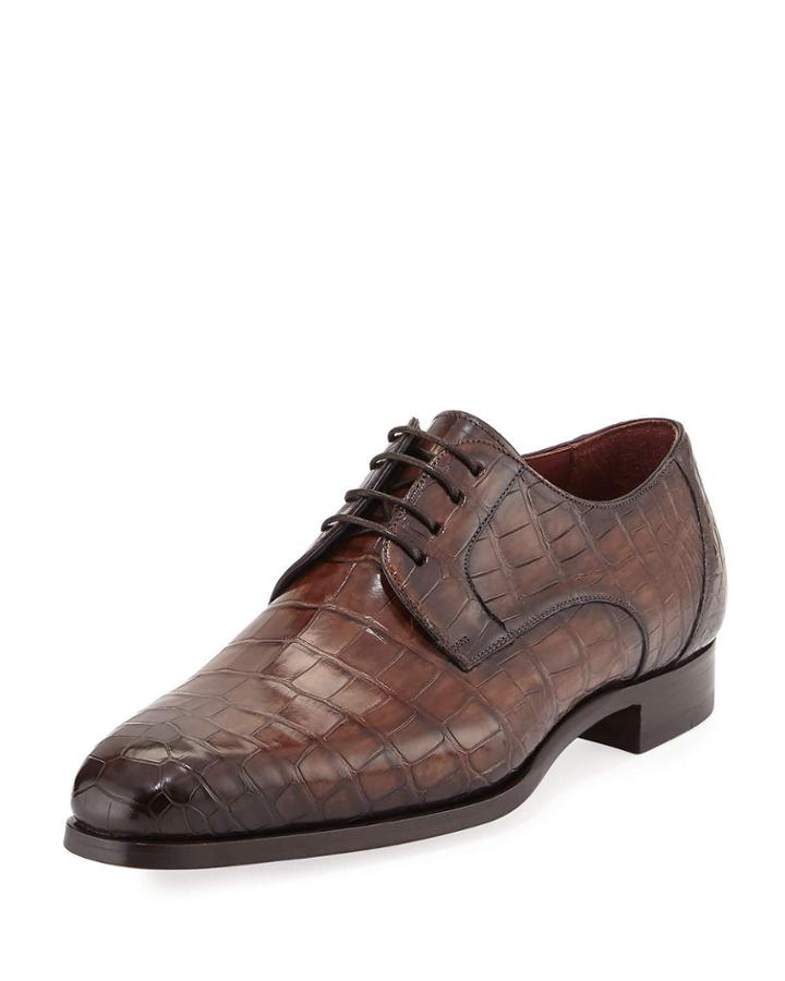 Alligator Oxford