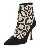 Dolorov Suede & Leopard-print Calf Hair Booties