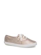 Keds Champion Glitter Suede Sneakers