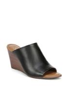 Franco Sarto Yasmina Leather Sandals