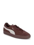 Puma Classic Low-top Suede Sneakers