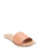 Coconuts By Matisse Cabana Slides