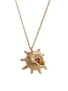 Mango Collar Winkle Shell Pendant Necklace