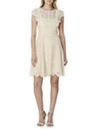 Tahari Arthur S. Levine Lace Fit-&-flare Dress