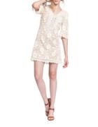 Plenty By Tracy Reese Scalloped Floral Lace Shift Dress
