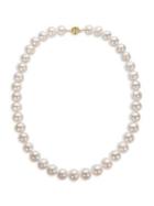Sonatina 14k Yellow Gold & 10mm-12mm Round White South Sea Cultured Pearl Necklace