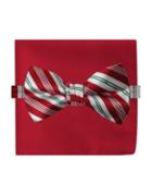 Susan G. Komen Knots For Hope Two-piece Striped Bow Tie And Pocket Square Set