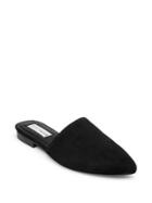 Steve Madden Trace Suede Mules