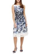 Phase Eight Milano Angela Lace Dress