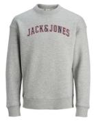 Jack & Jones Harvey Crewneck Sweater
